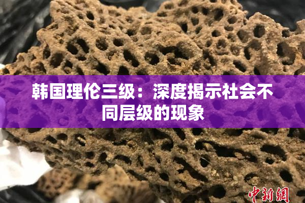 韩国理伦三级：深度揭示社会不同层级的现象