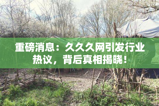 重磅消息：久久久网引发行业热议，背后真相揭晓！