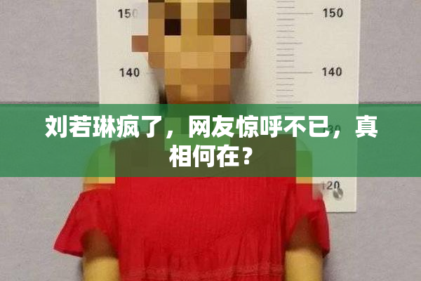 刘若琳疯了，网友惊呼不已，真相何在？