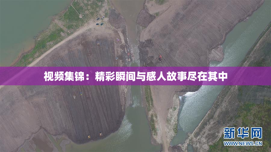视频集锦：精彩瞬间与感人故事尽在其中