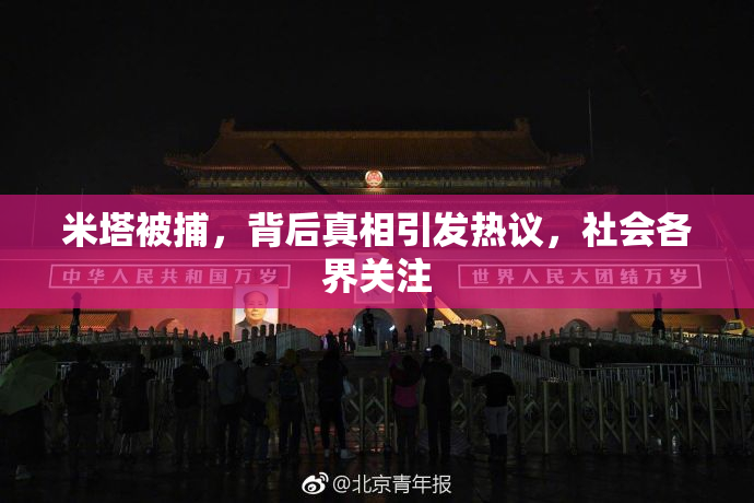 米塔被捕，背后真相引发热议，社会各界关注
