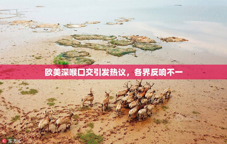 欧美深喉囗交引发热议，各界反响不一
