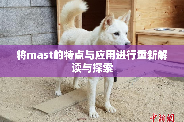 将mast的特点与应用进行重新解读与探索