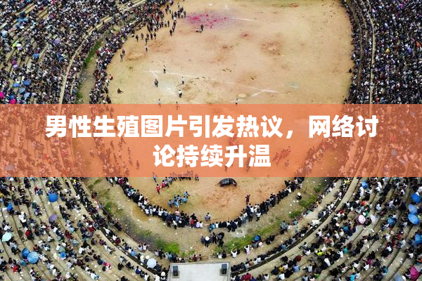 男性生殖图片引发热议，网络讨论持续升温