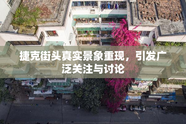 捷克街头真实景象重现，引发广泛关注与讨论
