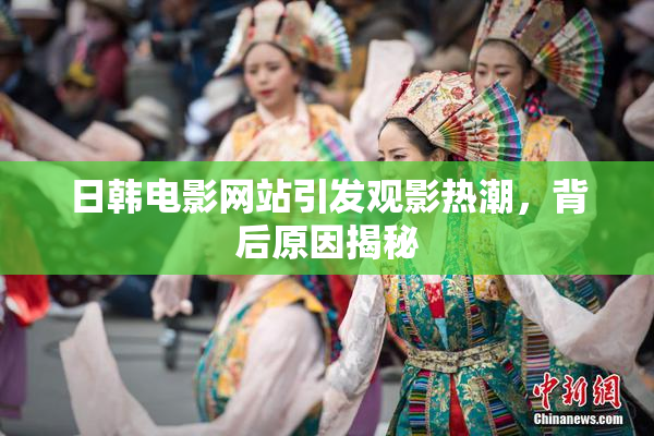 日韩电影网站引发观影热潮，背后原因揭秘