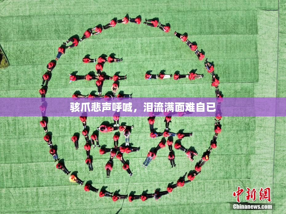 骇爪悲声呼喊，泪流满面难自已