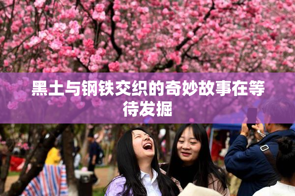 黑土与钢铁交织的奇妙故事在等待发掘