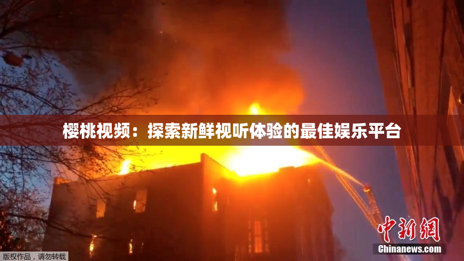 樱桃视频：探索新鲜视听体验的最佳娱乐平台