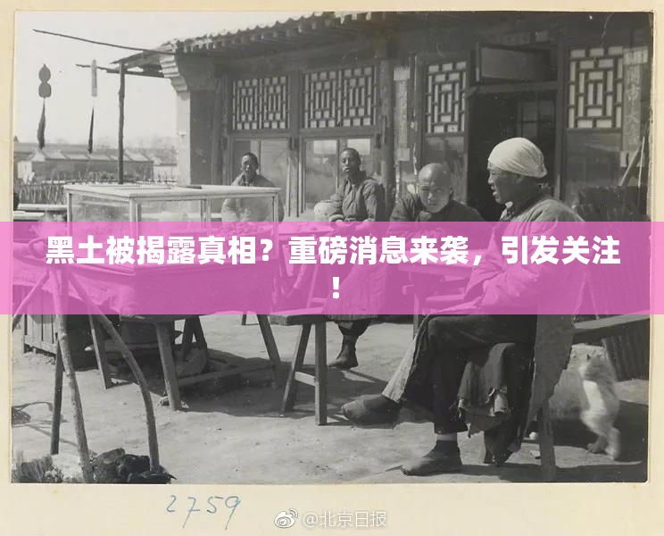 黑土被揭露真相？重磅消息来袭，引发关注！