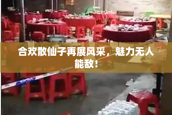 合欢散仙子再展风采，魅力无人能敌！