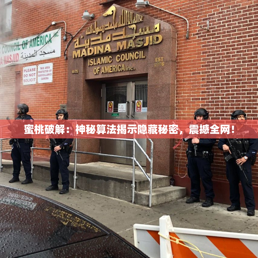 蜜桃破解：神秘算法揭示隐藏秘密，震撼全网！