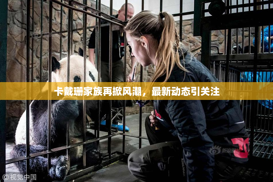 卡戴珊家族再掀风潮，最新动态引关注