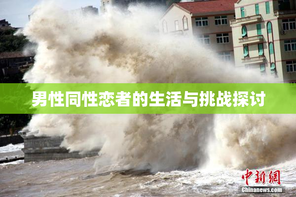 男性同性恋者的生活与挑战探讨