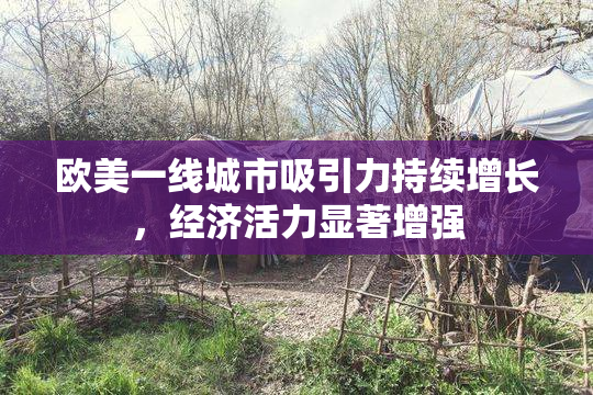 欧美一线城市吸引力持续增长，经济活力显著增强