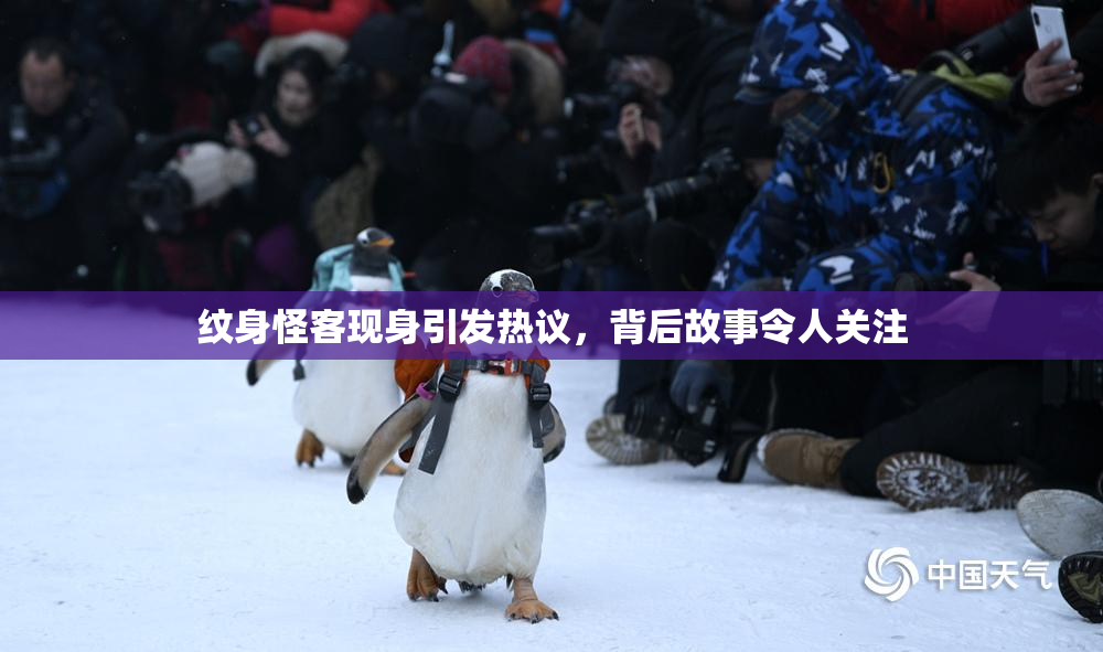 纹身怪客现身引发热议，背后故事令人关注