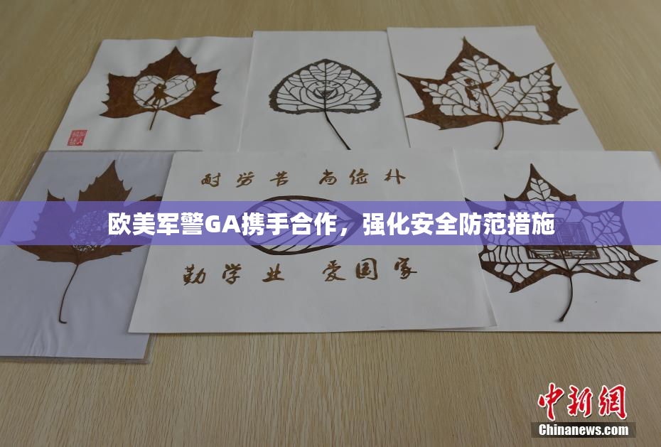 欧美军警GA携手合作，强化安全防范措施