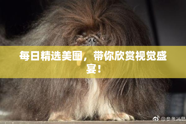 每日精选美图，带你欣赏视觉盛宴！