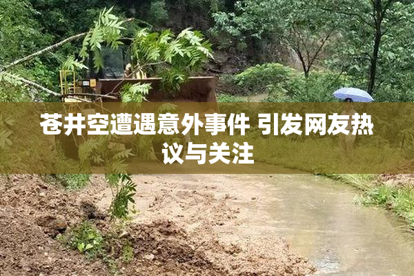 苍井空遭遇意外事件 引发网友热议与关注