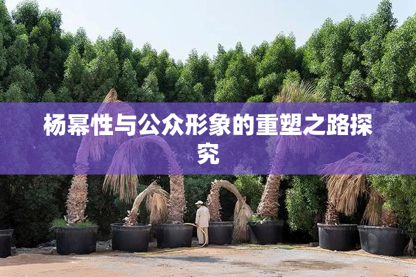 杨幂性与公众形象的重塑之路探究