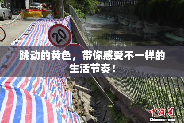 跳动的黄色，带你感受不一样的生活节奏！