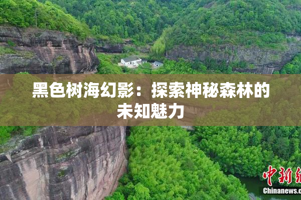 黑色树海幻影：探索神秘森林的未知魅力
