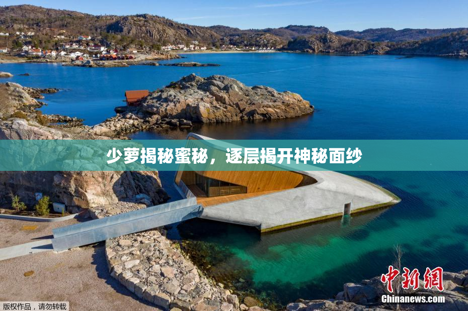 少萝揭秘蜜秘，逐层揭开神秘面纱