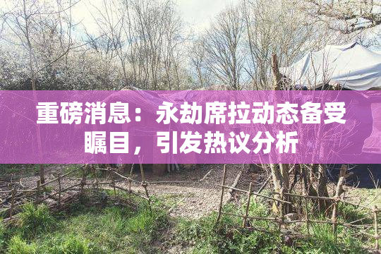 重磅消息：永劫席拉动态备受瞩目，引发热议分析