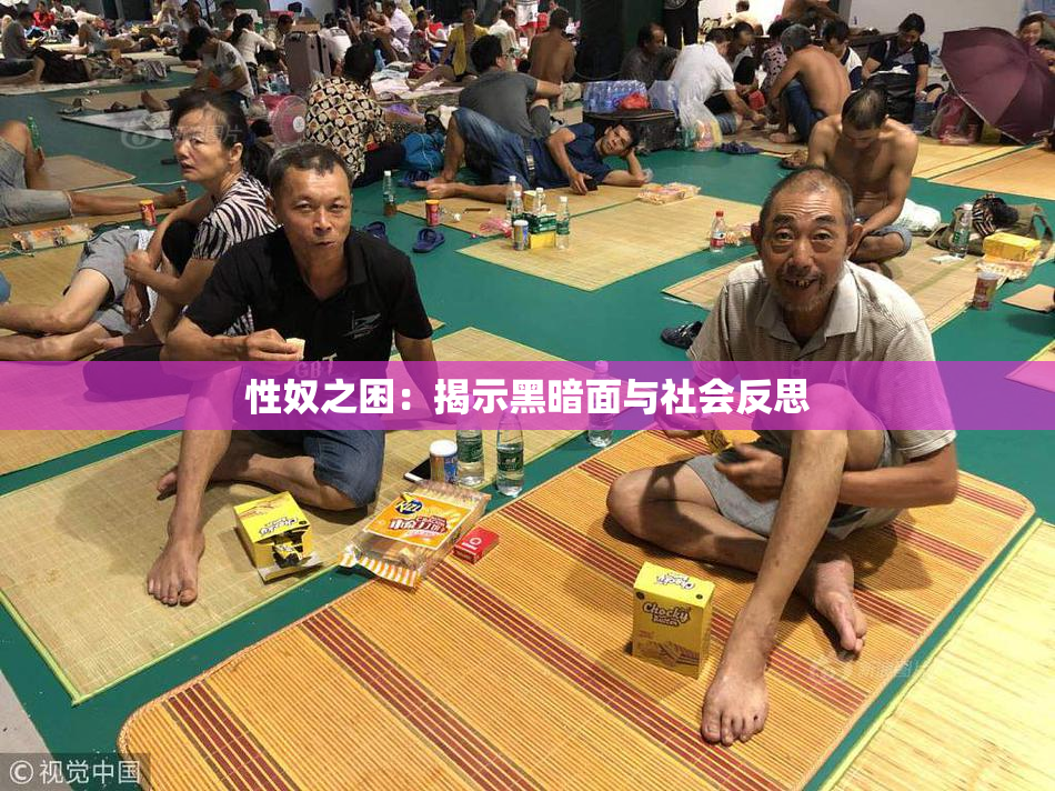 性奴之困：揭示黑暗面与社会反思