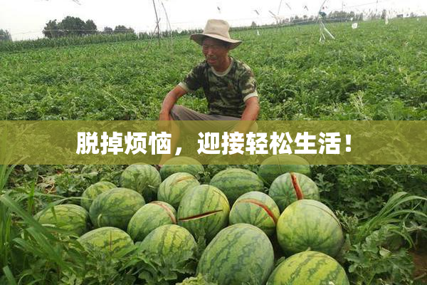 脱掉烦恼，迎接轻松生活！