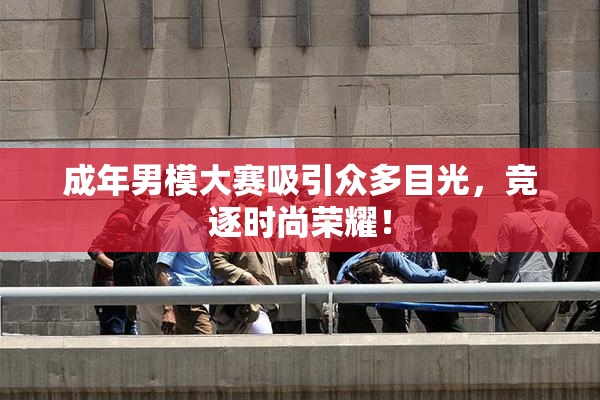 成年男模大赛吸引众多目光，竞逐时尚荣耀！