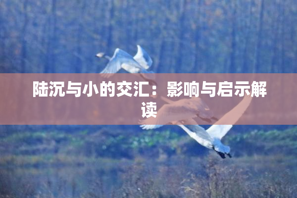 陆沉与小的交汇：影响与启示解读