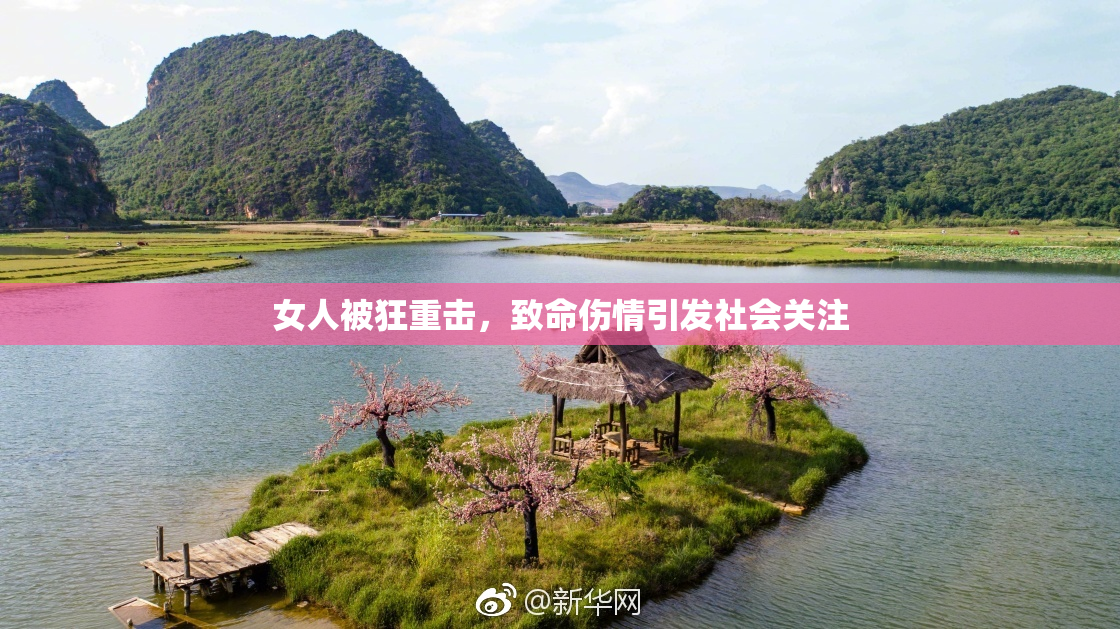 女人被狂重击，致命伤情引发社会关注