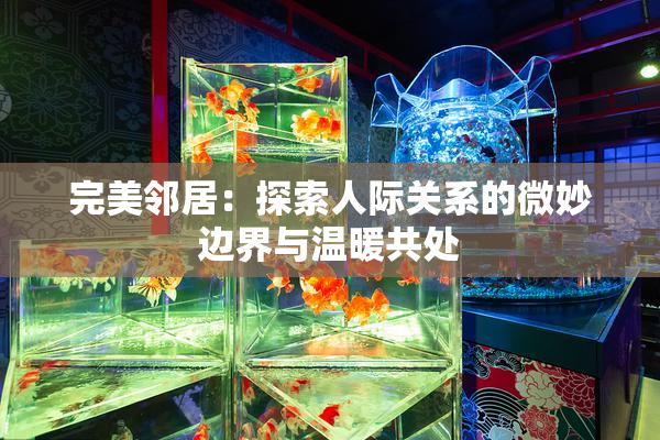 完美邻居：探索人际关系的微妙边界与温暖共处