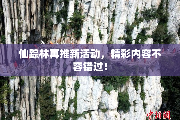 仙踪林再推新活动，精彩内容不容错过！