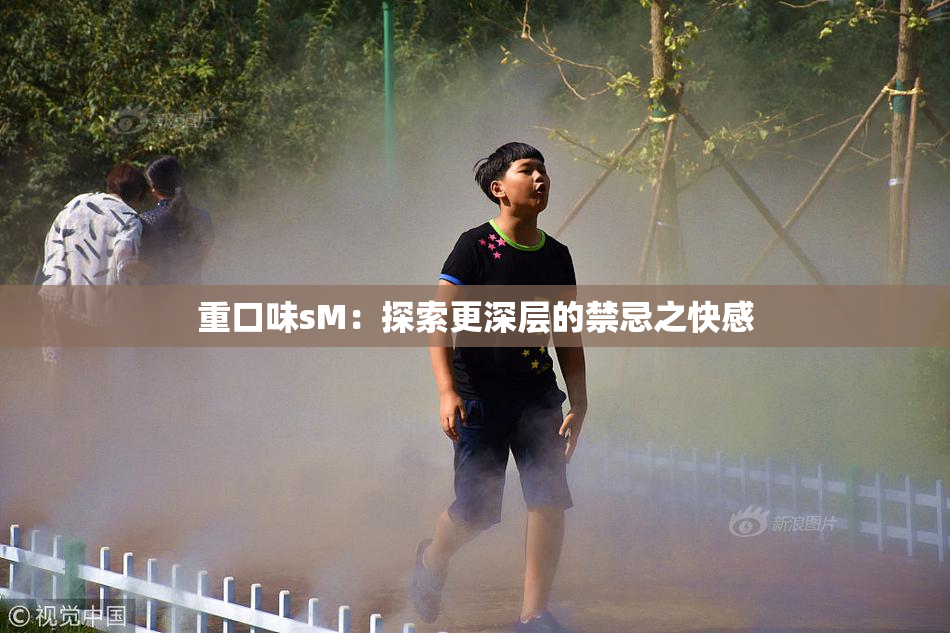 重口味sM：探索更深层的禁忌之快感