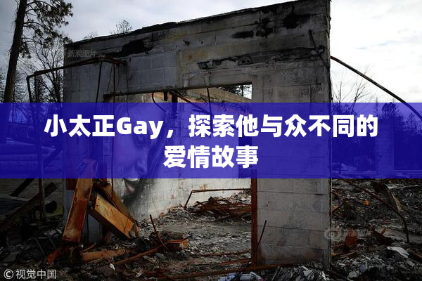 小太正Gay，探索他与众不同的爱情故事