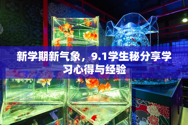 新学期新气象，9.1学生秘分享学习心得与经验