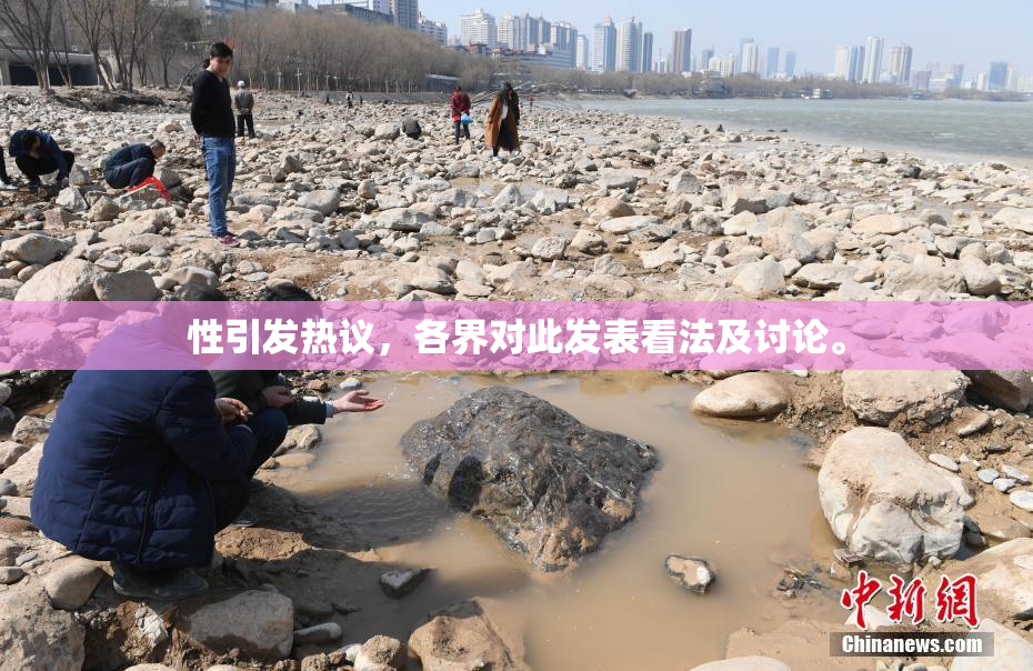 性引发热议，各界对此发表看法及讨论。