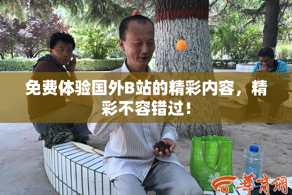 免费体验国外B站的精彩内容，精彩不容错过！