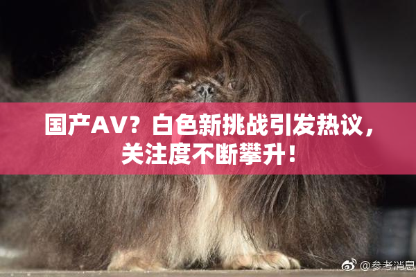 国产AV？白色新挑战引发热议，关注度不断攀升！