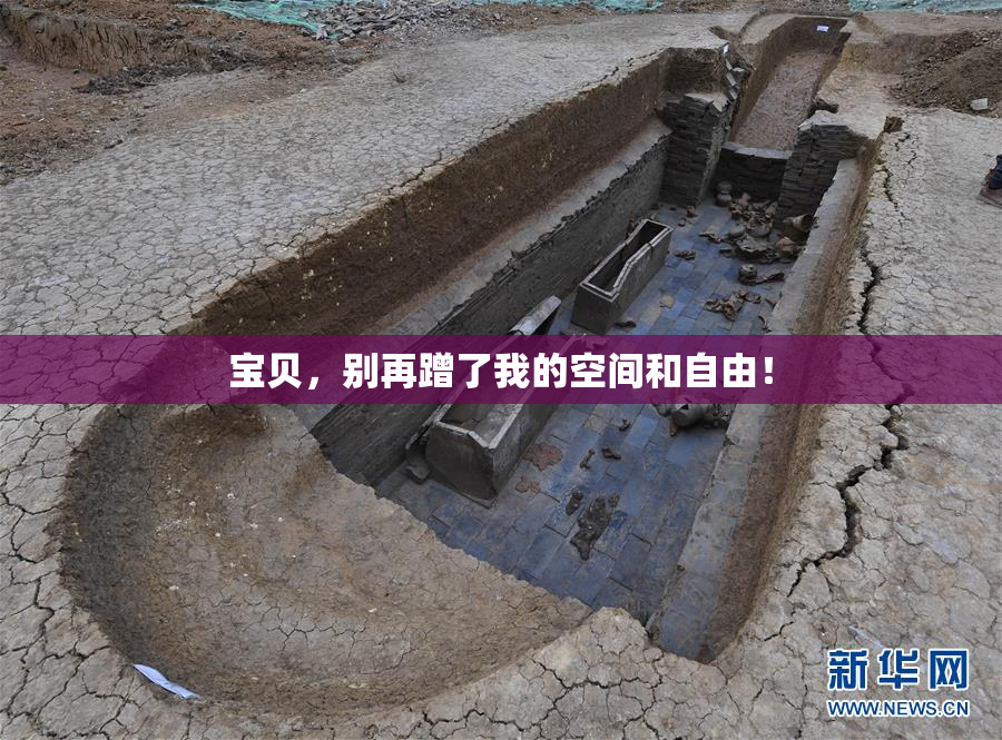 宝贝，别再蹭了我的空间和自由！