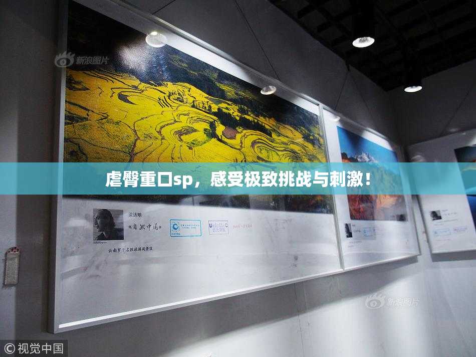 虐臀重口sp，感受极致挑战与刺激！