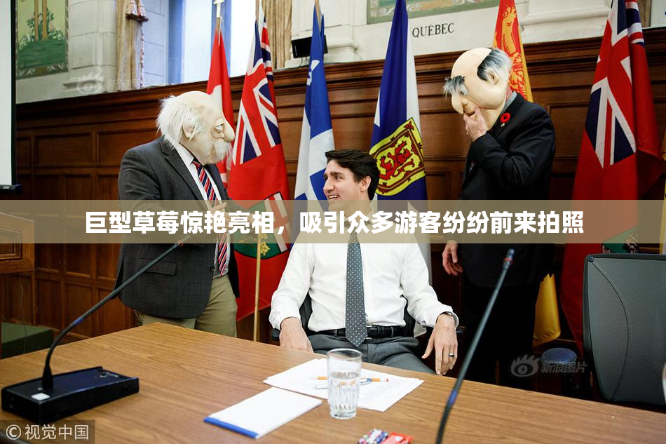 巨型草莓惊艳亮相，吸引众多游客纷纷前来拍照