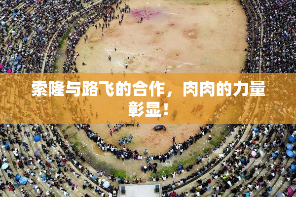 索隆与路飞的合作，肉肉的力量彰显！