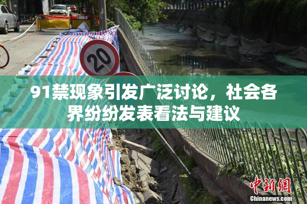 91禁现象引发广泛讨论，社会各界纷纷发表看法与建议