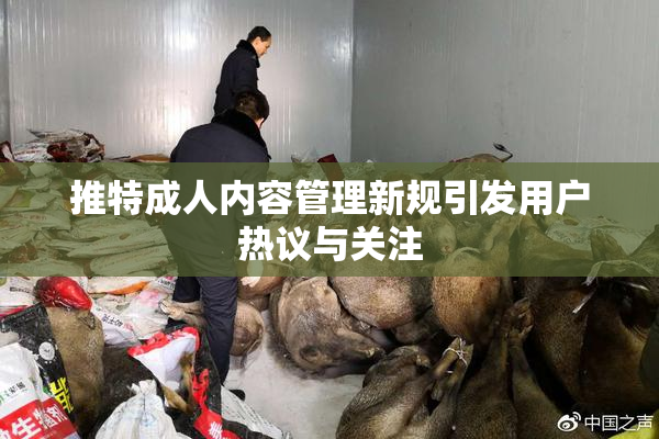 推特成人内容管理新规引发用户热议与关注