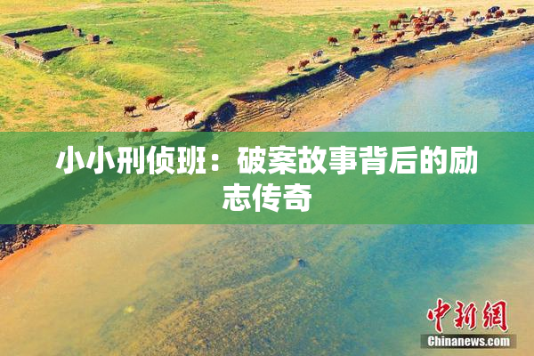 小小刑侦班：破案故事背后的励志传奇