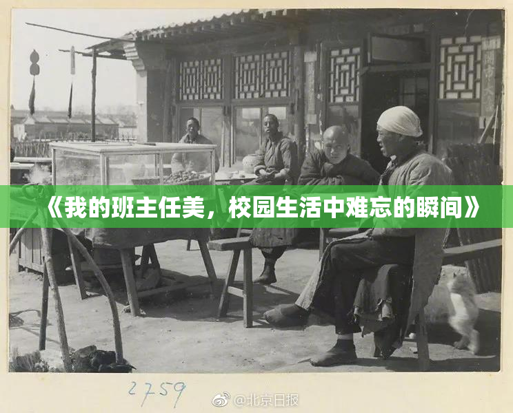 《我的班主任美，校园生活中难忘的瞬间》