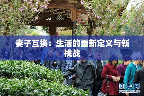 妻子互换：生活的重新定义与新挑战